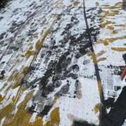 ヒメ日記 2026/02/08 12:16 投稿 しの 丸妻 池袋店