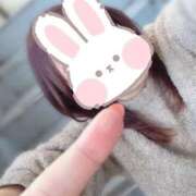 ヒメ日記 2026/02/21 14:25 投稿 しの 丸妻 池袋店