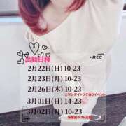 ヒメ日記 2026/02/25 09:51 投稿 しの 丸妻 池袋店