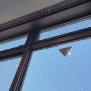 ヒメ日記 2026/03/09 13:49 投稿 しの 丸妻 池袋店