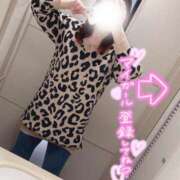 ヒメ日記 2026/04/06 06:53 投稿 しの 丸妻 池袋店