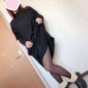 ヒメ日記 2026/04/07 15:14 投稿 しの 丸妻 池袋店