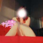 ヒメ日記 2026/04/14 12:26 投稿 しの 丸妻 池袋店