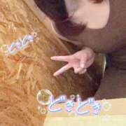 ヒメ日記 2026/05/11 08:30 投稿 しの 丸妻 池袋店