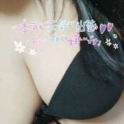 ヒメ日記 2025/08/20 10:05 投稿 天野 美穂 こあくまな熟女たち 本厚木店(KOAKUMAグループ)