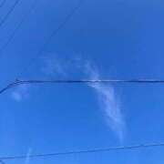 ヒメ日記 2025/09/24 09:00 投稿 ゆめ スイカ