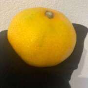 ヒメ日記 2025/11/06 08:28 投稿 ゆめ スイカ