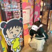 ヒメ日記 2026/04/03 11:30 投稿 こはく ハンドメイドコレクション太田