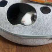 ヒメ日記 2025/09/02 19:26 投稿 かぐら ちゃんこ東大阪 布施・長田店