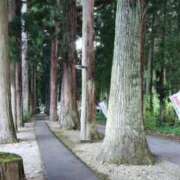 ヒメ日記 2025/09/26 11:36 投稿 かぐら ちゃんこ東大阪 布施・長田店