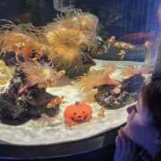 ヒメ日記 2025/10/26 09:56 投稿 かぐら ちゃんこ東大阪 布施・長田店