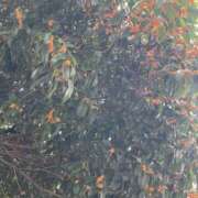 ヒメ日記 2025/10/28 07:10 投稿 江口 上野CLUB A(クラブ エー)