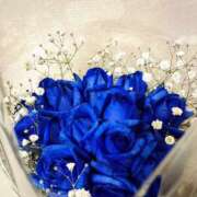 ヒメ日記 2026/04/12 11:10 投稿 江口 上野CLUB A(クラブ エー)