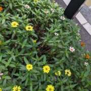 ヒメ日記 2025/09/11 21:30 投稿 麻衣 モアグループ大宮人妻花壇