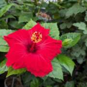 ヒメ日記 2025/10/19 06:45 投稿 麻衣 モアグループ大宮人妻花壇