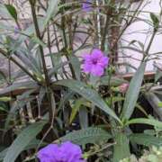 麻衣 🩷おはようございます🩷 モアグループ大宮人妻花壇