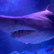 ヒメ日記 2025/08/13 12:06 投稿 水野(みずの) 八王子人妻城