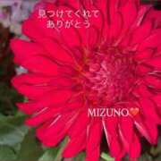 ヒメ日記 2025/08/14 10:36 投稿 水野(みずの) 八王子人妻城