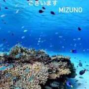 ヒメ日記 2025/08/20 14:36 投稿 水野(みずの) 八王子人妻城