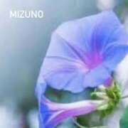 ヒメ日記 2025/08/23 09:09 投稿 水野(みずの) 八王子人妻城