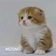 ヒメ日記 2025/08/28 18:00 投稿 水野(みずの) 八王子人妻城