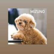 ヒメ日記 2025/09/02 09:06 投稿 水野(みずの) 八王子人妻城