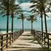 ヒメ日記 2025/09/15 00:54 投稿 水野(みずの) 八王子人妻城