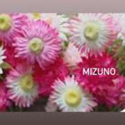 ヒメ日記 2025/10/03 00:30 投稿 水野(みずの) 八王子人妻城