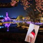 ヒメ日記 2025/12/18 02:33 投稿 水野(みずの) 八王子人妻城