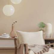 ヒメ日記 2025/11/18 10:37 投稿 椿（つばき） 不倫快感