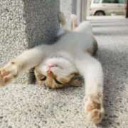 ヒメ日記 2026/02/18 19:29 投稿 せな 激安ピーチ