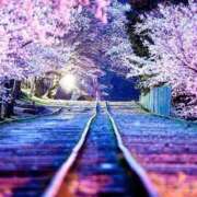 ヒメ日記 2026/03/24 15:56 投稿 せな 激安ピーチ