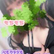 ヒメ日記 2025/11/12 15:20 投稿 るり 愛知三河安城岡崎ちゃんこ