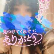 ヒメ日記 2025/11/27 20:40 投稿 るり 愛知三河安城岡崎ちゃんこ