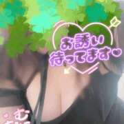 ヒメ日記 2025/12/01 22:20 投稿 るり 愛知三河安城岡崎ちゃんこ