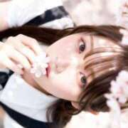 ヒメ日記 2026/04/02 18:20 投稿 井ノ上たきな ラブアイドル