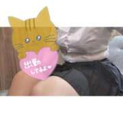 ヒメ日記 2025/08/16 19:02 投稿 桜庭　なのは NADIA神戸店