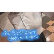 ヒメ日記 2025/09/07 17:33 投稿 桜庭　なのは NADIA神戸店