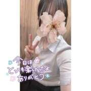 ヒメ日記 2025/10/23 15:11 投稿 桜庭　なのは NADIA神戸店