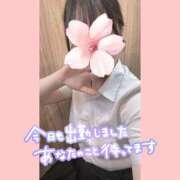 ヒメ日記 2025/11/01 12:21 投稿 桜庭　なのは NADIA神戸店