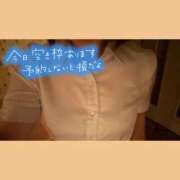 ヒメ日記 2025/11/12 13:21 投稿 桜庭　なのは NADIA神戸店