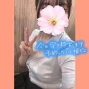 ヒメ日記 2025/11/13 20:51 投稿 桜庭　なのは NADIA神戸店