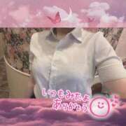 ヒメ日記 2025/11/24 14:21 投稿 桜庭　なのは NADIA神戸店