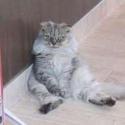 ヒメ日記 2025/09/11 13:14 投稿 叶乃-かなの【FG系列】 ほんつま千葉店（FG系列）