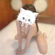 ヒメ日記 2025/10/22 10:41 投稿 くれは スピードエコ京橋店