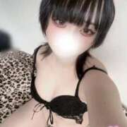 ヒメ日記 2026/02/16 11:31 投稿 こはく スピードエコ京橋店