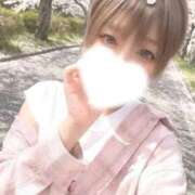 ヒメ日記 2026/04/24 10:21 投稿 しゅり オレンジハウス