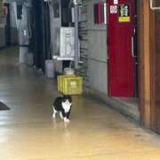 ヒメ日記 2026/08/11 01:10 投稿 すみれ オレンジハウス