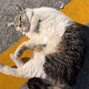 ヒメ日記 2025/12/17 11:40 投稿 あい オレンジハウス