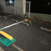 ヒメ日記 2025/08/12 01:20 投稿 えるも オレンジハウス